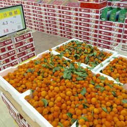 绿晶果品批发行(大润发店)